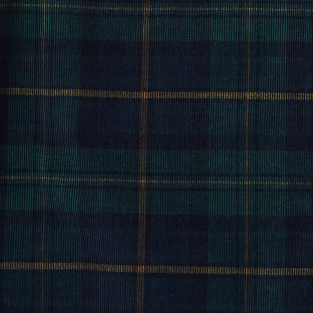 FX Fusion Reverse Cord Plaid Button Down Shirt