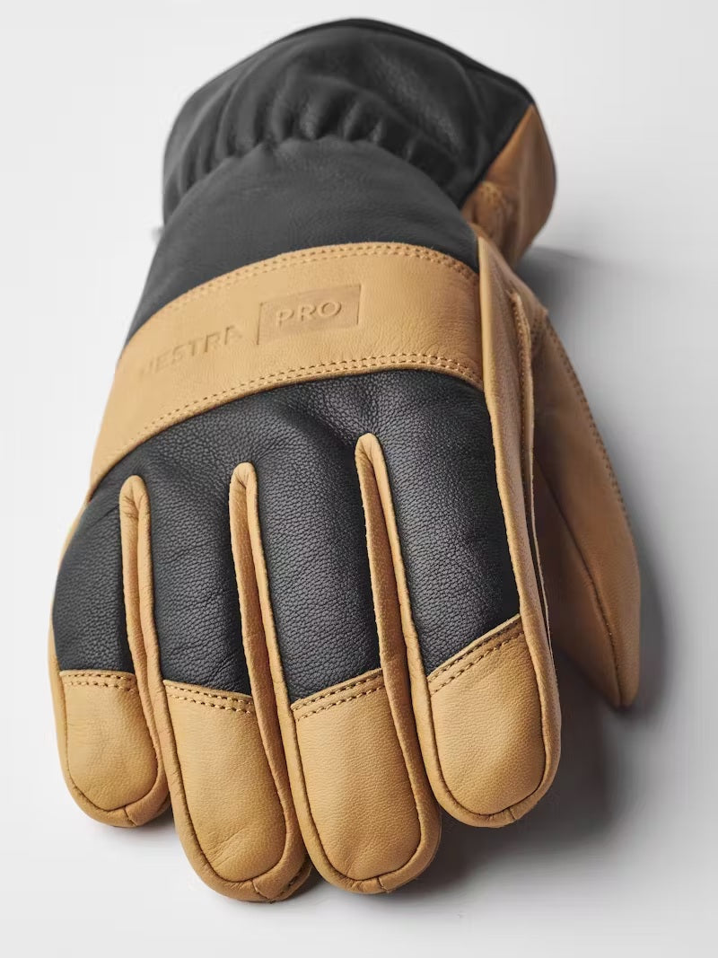 Hestra Winter Pro 5-Finger Gloves