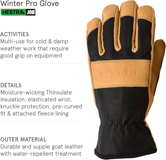 Hestra Winter Pro 5-Finger Gloves